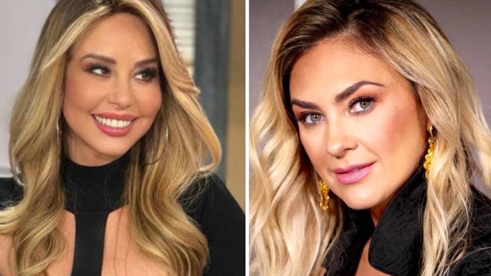 Myrka-Dellanos-reaparece-luego-de-que-Aracely-Arámbula-le-prohibió-meterse-en-sus-problemas-con-Luis-Miguel.jpg