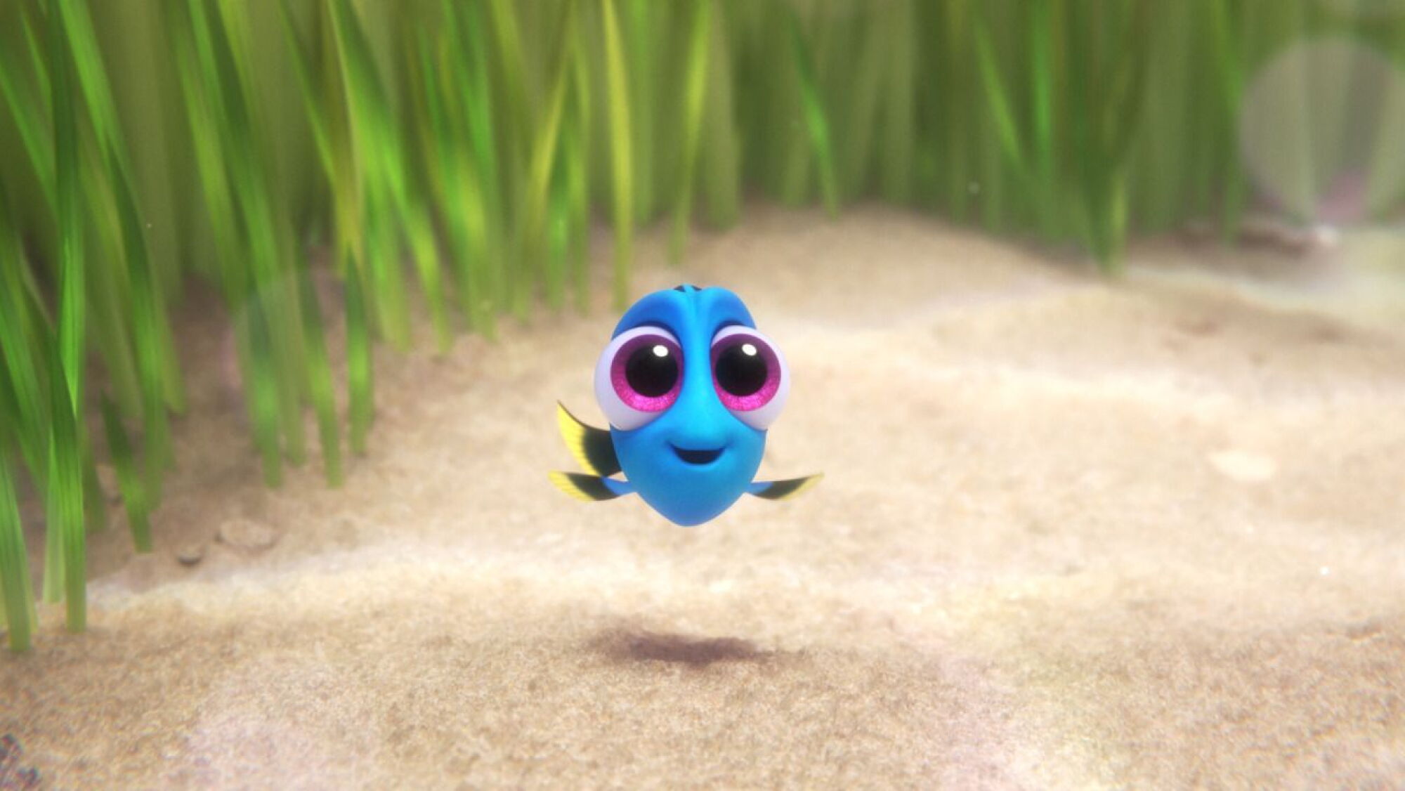 Este Video De Dory Beb Te Derretir De Amor este-video-de-dory-beb-te-derretir-de-amor
