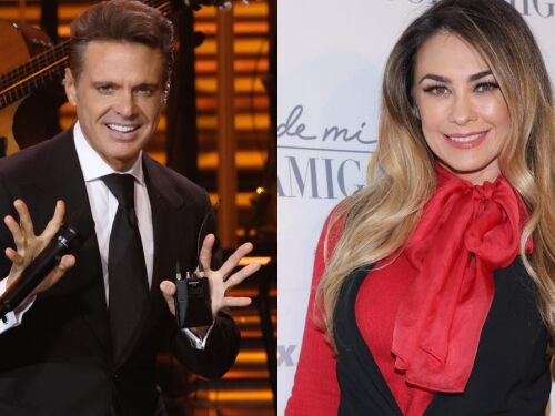 Luis Miguel y Aracely Arámbula están en una pelea legal