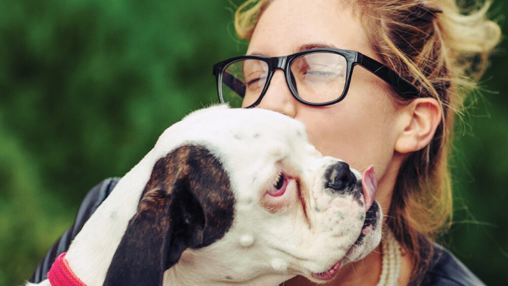 TEST: ¿Estás lista para adoptar una mascota?