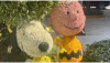 Snoopy Floral arrangement in Polanco