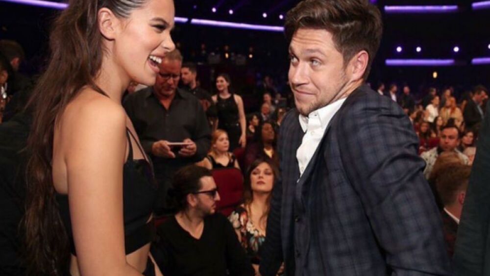 niall horan y hailee steinfeld besandose