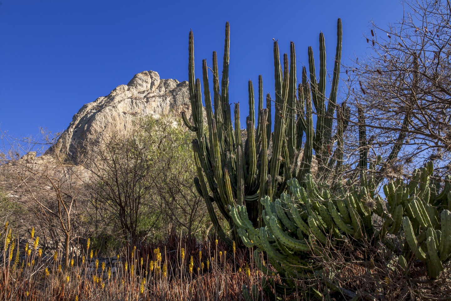 Peña de Bernal - 5 pueblos mágicos cerca de CDMX para Semana Santa