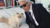 día del gato choupette karl lagerfeld