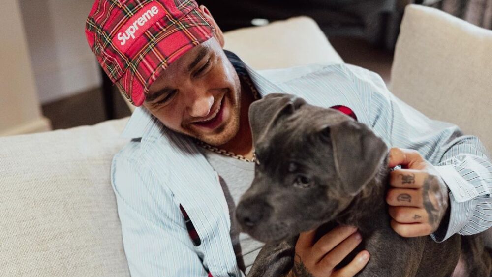 LIAM PAYNE POSA CON SU MASCOTA.jpg
