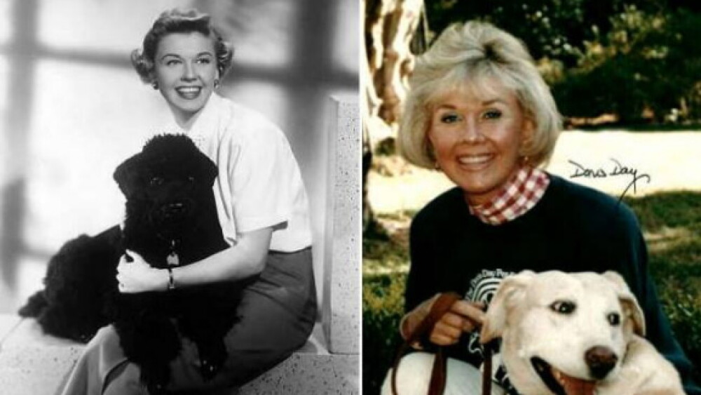 Doris Dad Muere la icónica actriz Doris Day a los 97 años de edad