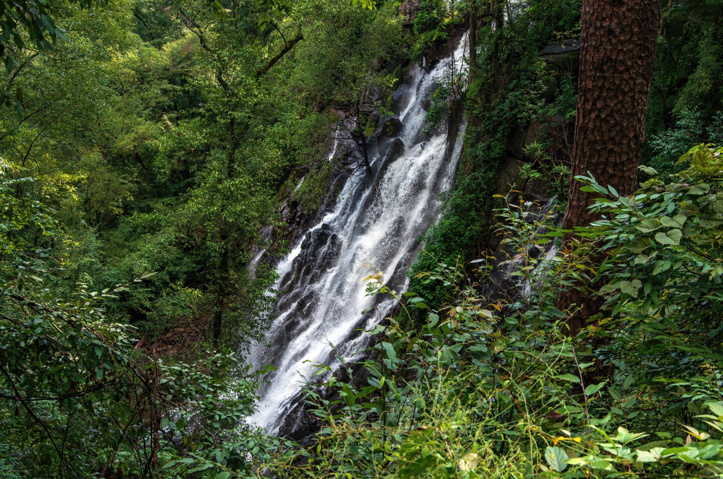 Velo de Novia, Valle de Bravo, Mexico