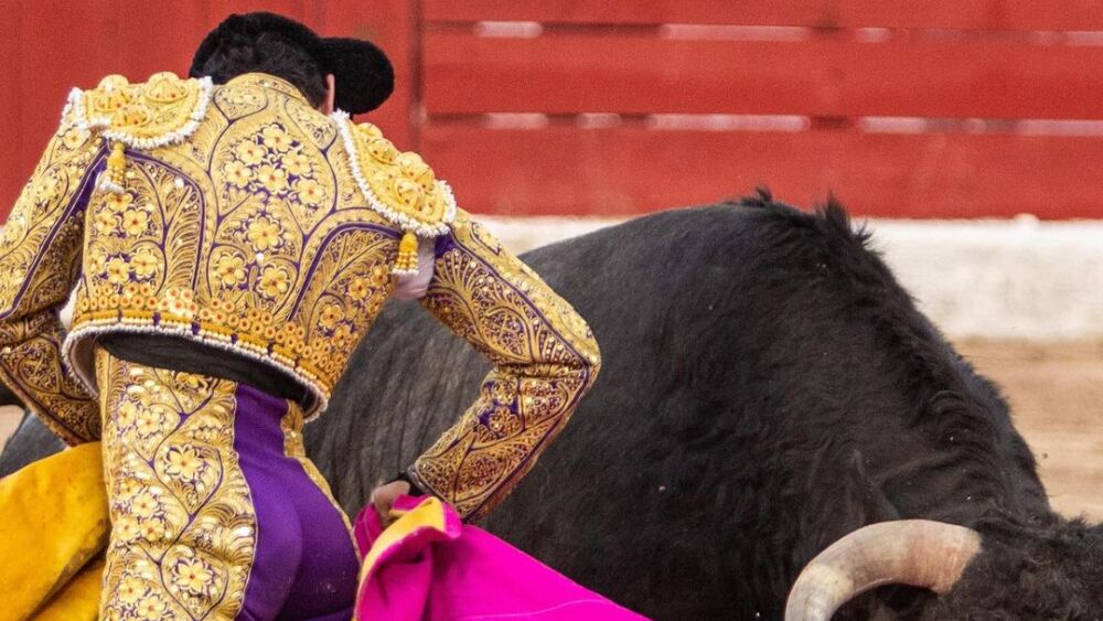 ¡Escalofriante VIDEO! Así fue como el torero Isaac Fonseca sufrió una