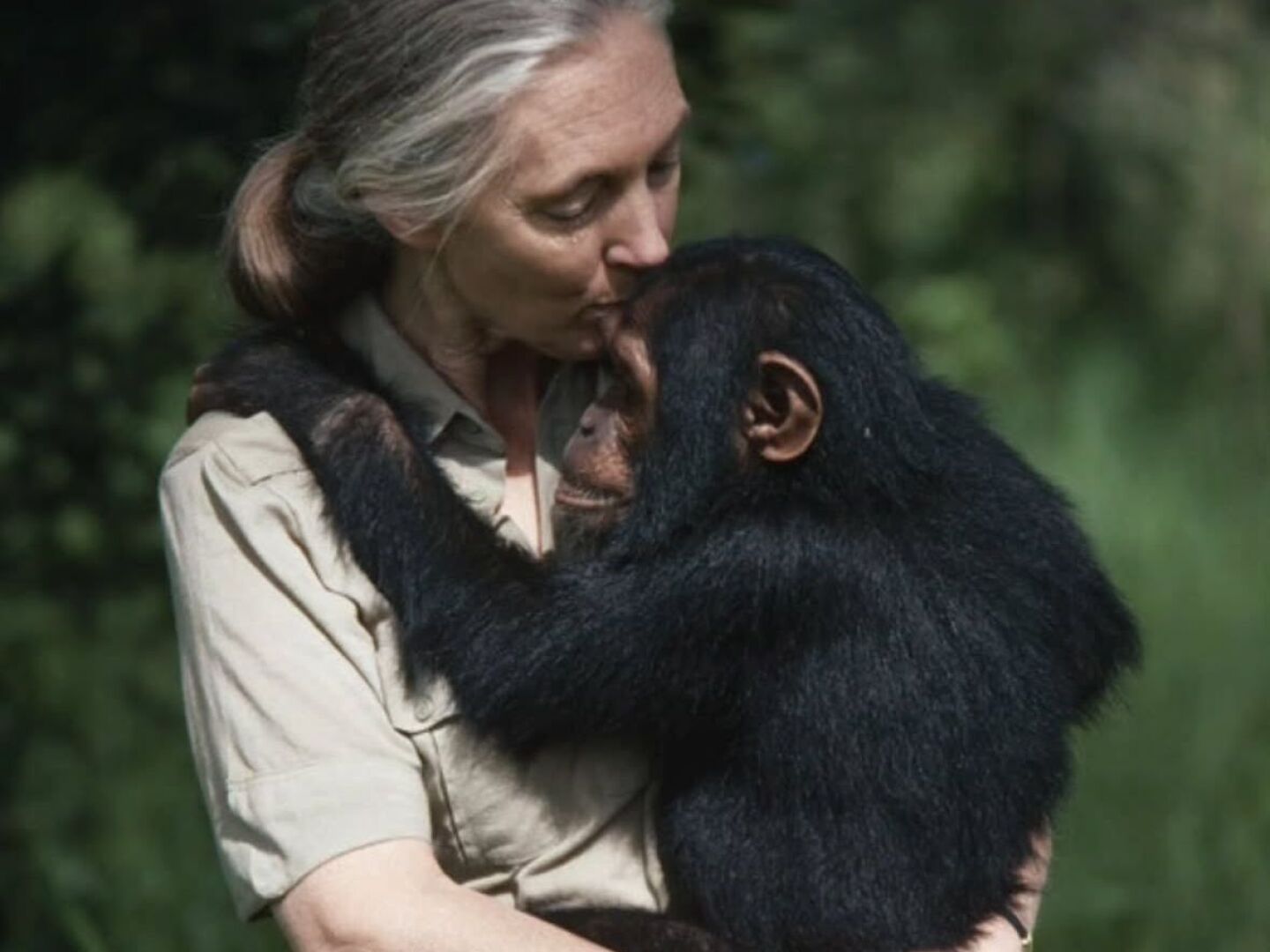 jane-goodall.jpeg