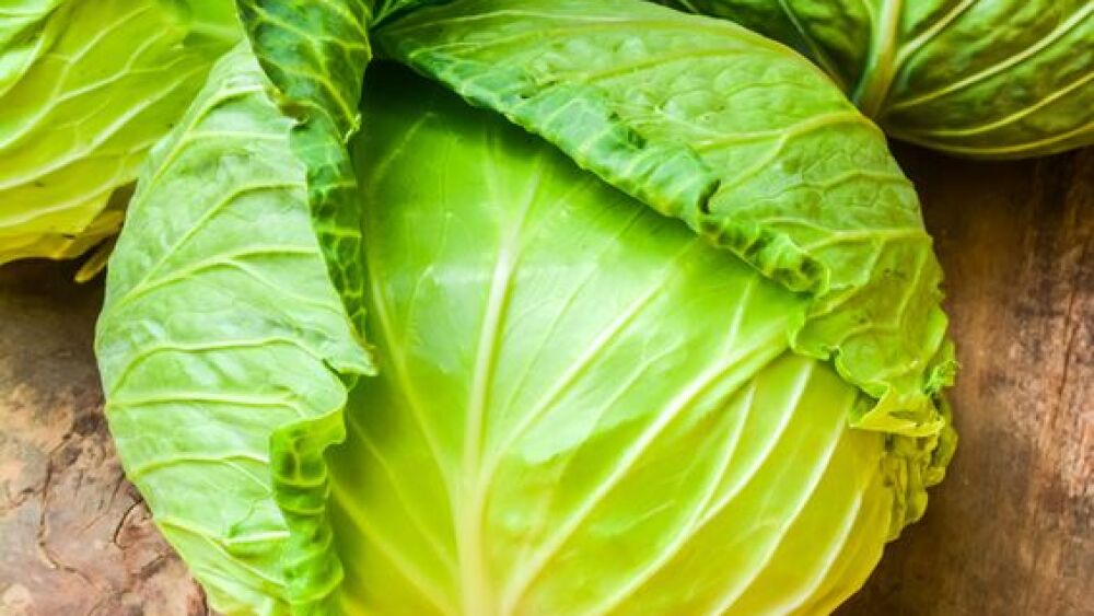 10 Propiedades de la col