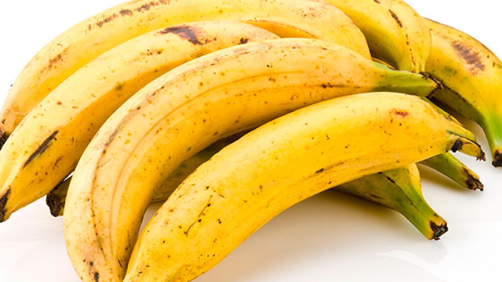 20 recetas con plátano macho prácticas y antojables 20 recetas con plátano macho prácticas y antojables