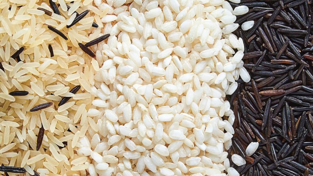 Arroz Wikipedia, La Enciclopedia Libre, 55% OFF