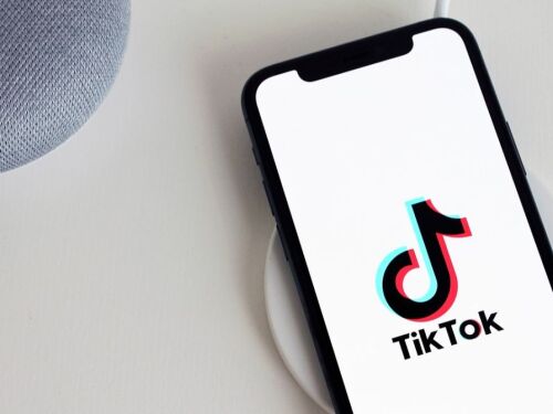 Cinco videos con más likes de TikTok en 2024. Pixabay