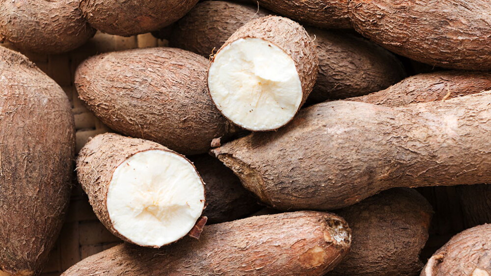 Qué es la yuca y cuáles son sus beneficios