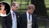 Los príncipes Harry y Willam no olvidan la última llamada telefónica que tuvieron con Lady Di