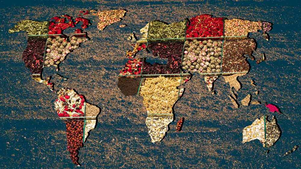 Imagen: Mejores cocinas del mundo