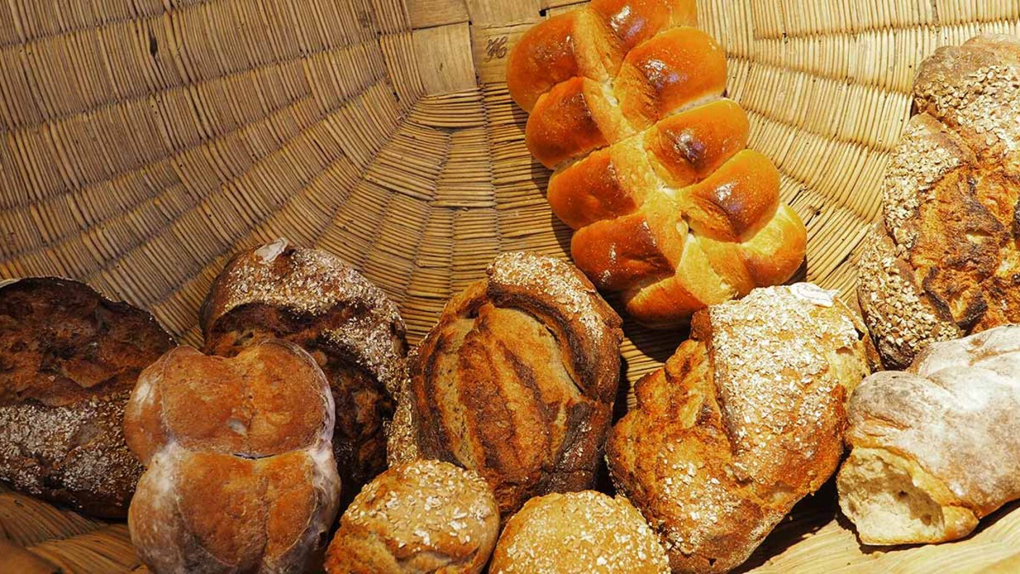 ¿Pan duro? Aprende este truco casero para que se mantenga fresco