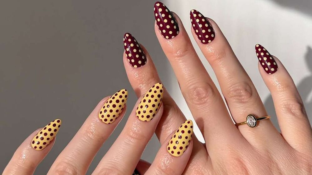 polka dot multicolor