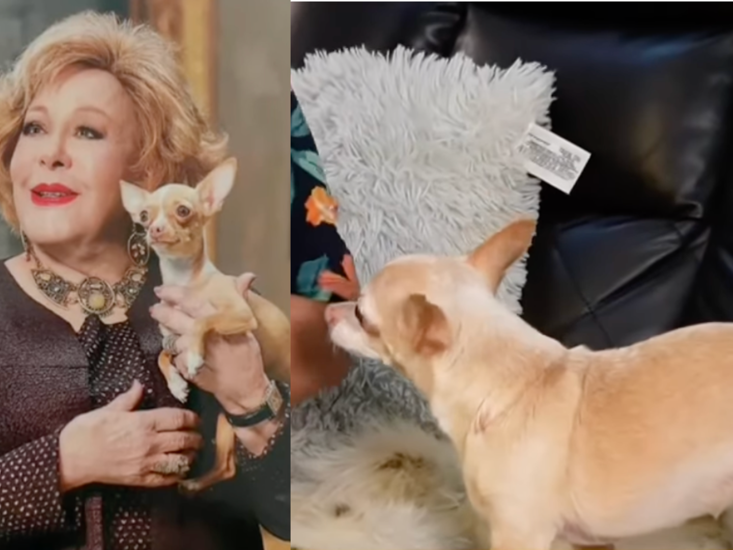 Cosita Silvia Pinal.png