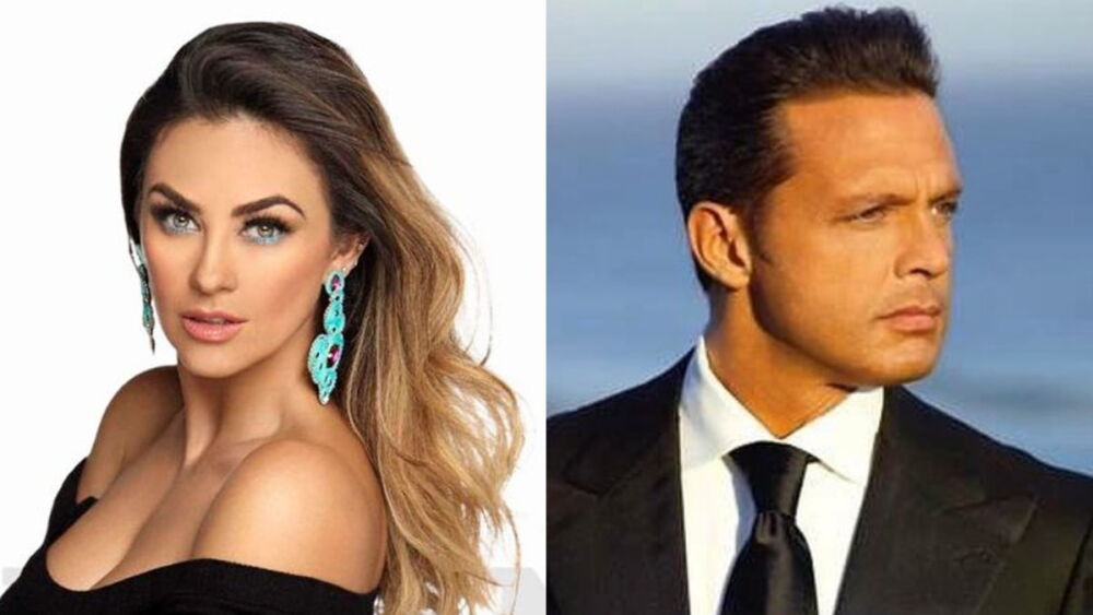 Aracely Arámbula vs. Luis Miguel: 5 datos para entender la situación jurídica del cantante
