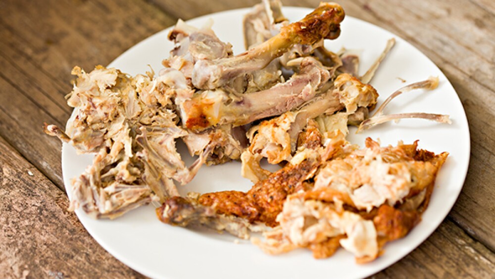 Alimentos prohibidos para perros: huesos