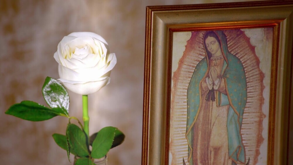 LA ROSA DE GUADALUPE.jpeg