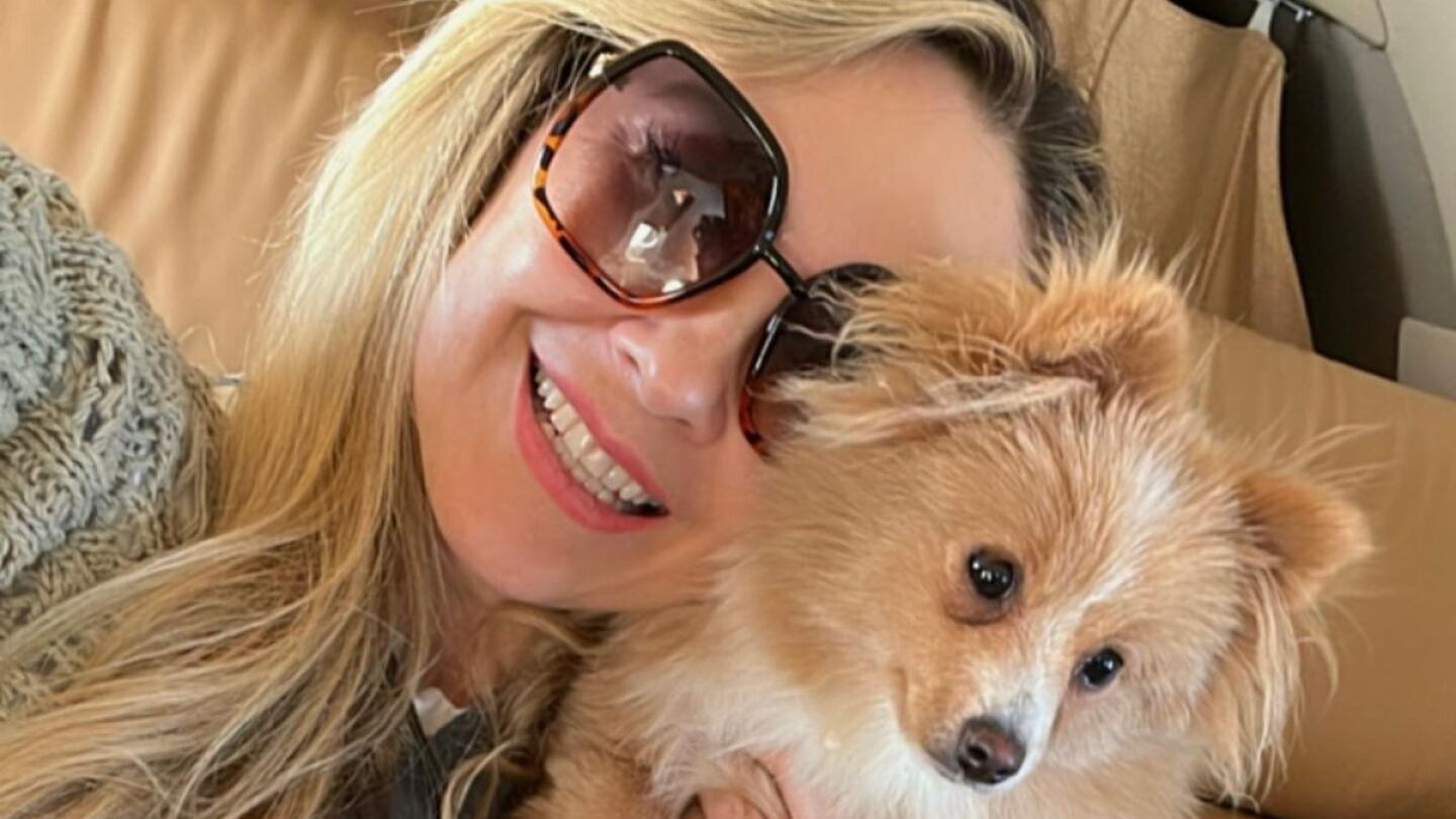 Aracely Arámbula y su "Perrísimo amor": así es su proyecto de defensa por los animales