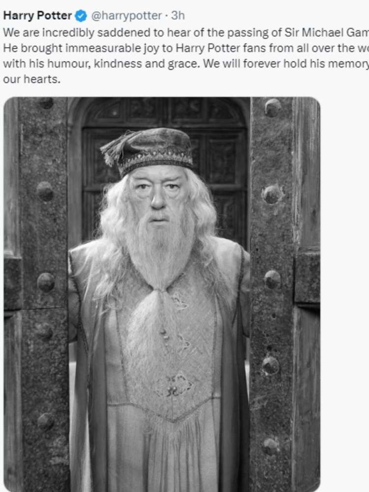 Michael Gambon dumbledore murió (2)