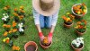 La jardinería, una terapia agradable y permanente