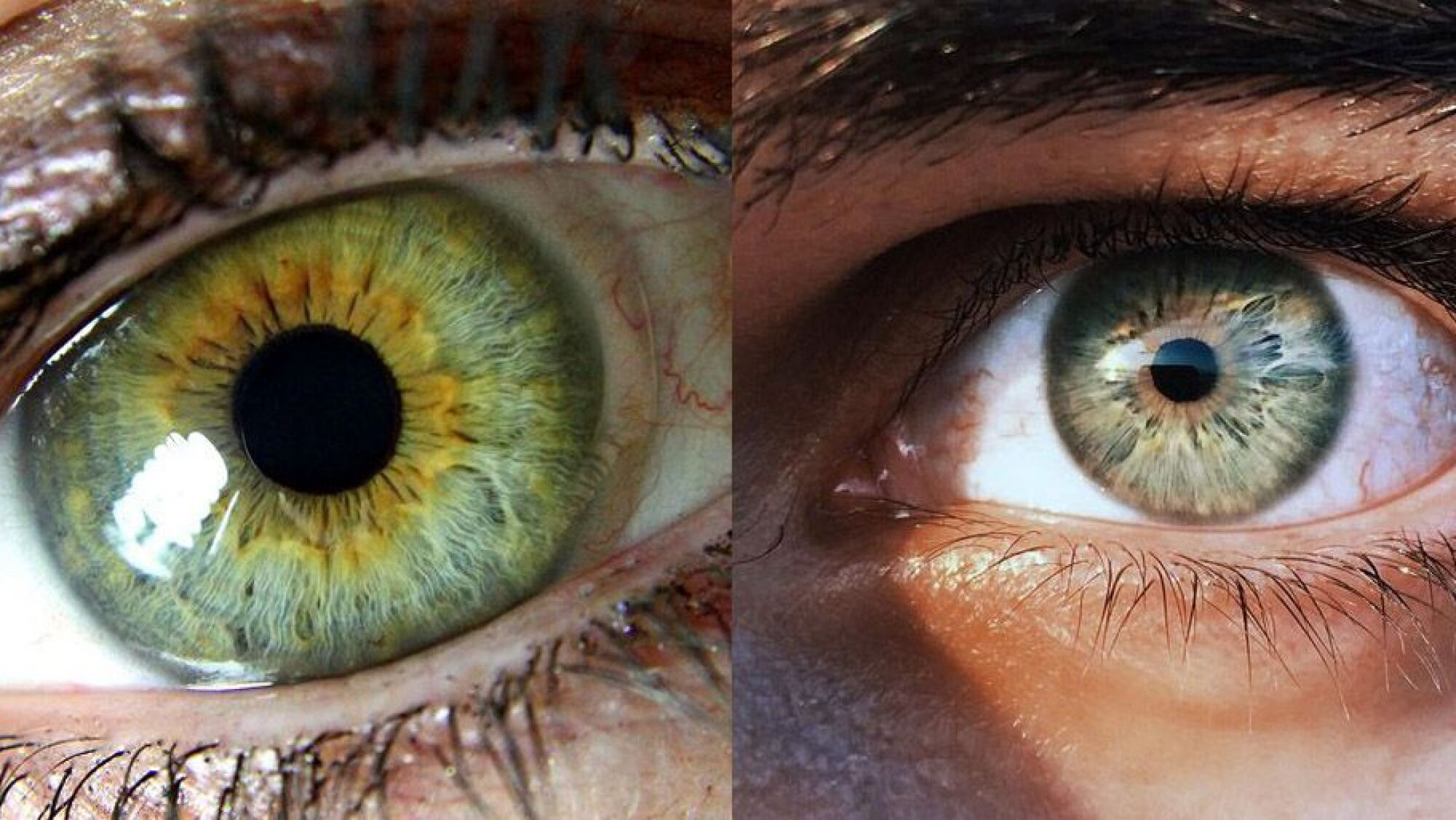 De D nde Vienen Los Ojos Verdes Significado Y Por Qu Son Tan Raros de-d-nde-vienen-los-ojos-verdes-significado-y-por-qu-son-tan-raros