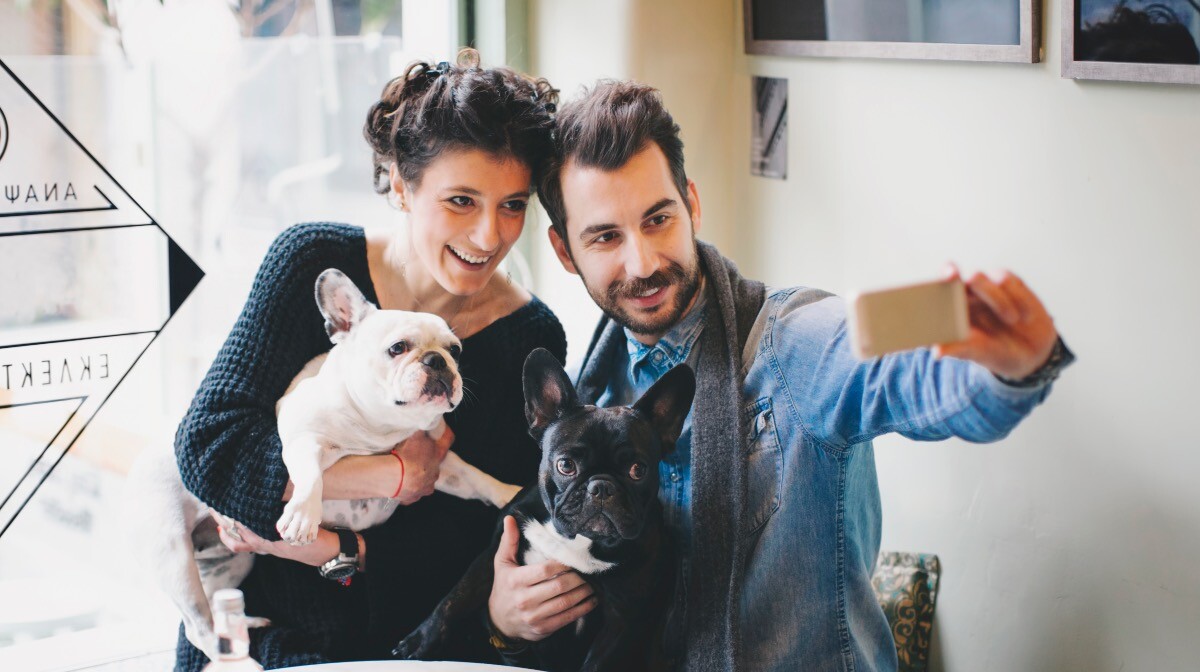 Si usas Tinder, ponte una foto de un perro en tu perfil por las siguientes razones 3 Merca2.es Una asociación que nos parece provechosa