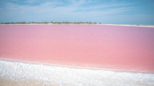 Las Coloradas: playa rosada de Yucatán