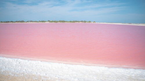 Las Coloradas: playa rosada de Yucatán