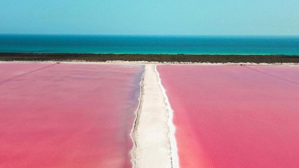 Las Coloradas Yucatán: por qué el agua es rosa (playa rosada)
