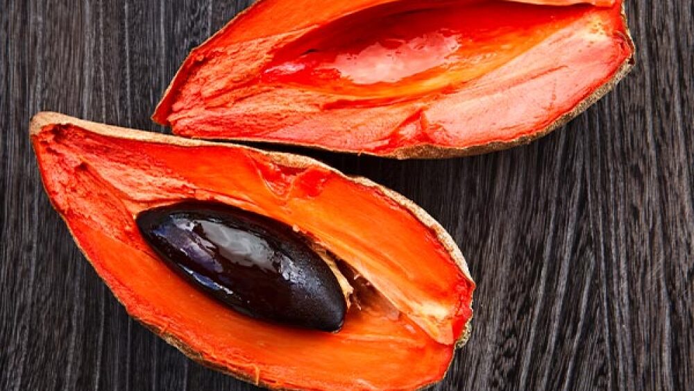 Beneficios del hueso de mamey y cómo aprovecharlo Beneficios del hueso de mamey y cómo aprovecharlo
