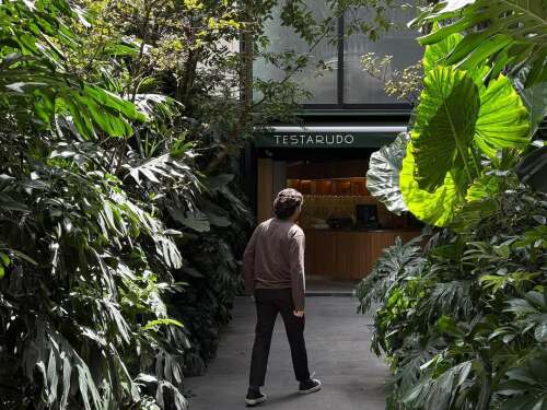 Cafetería en CDMX para hacer home office