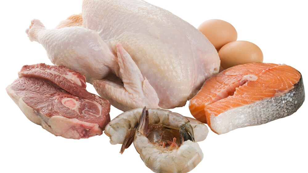 Salmonela