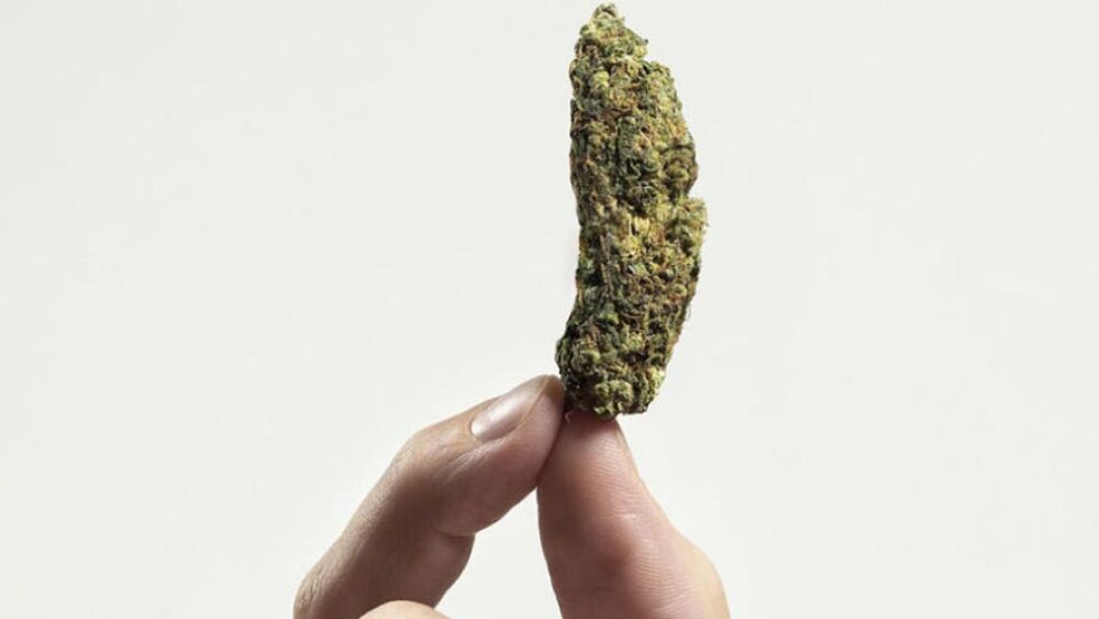 Rvelan que los tampones de marihuana reducen los cólicos menstruales