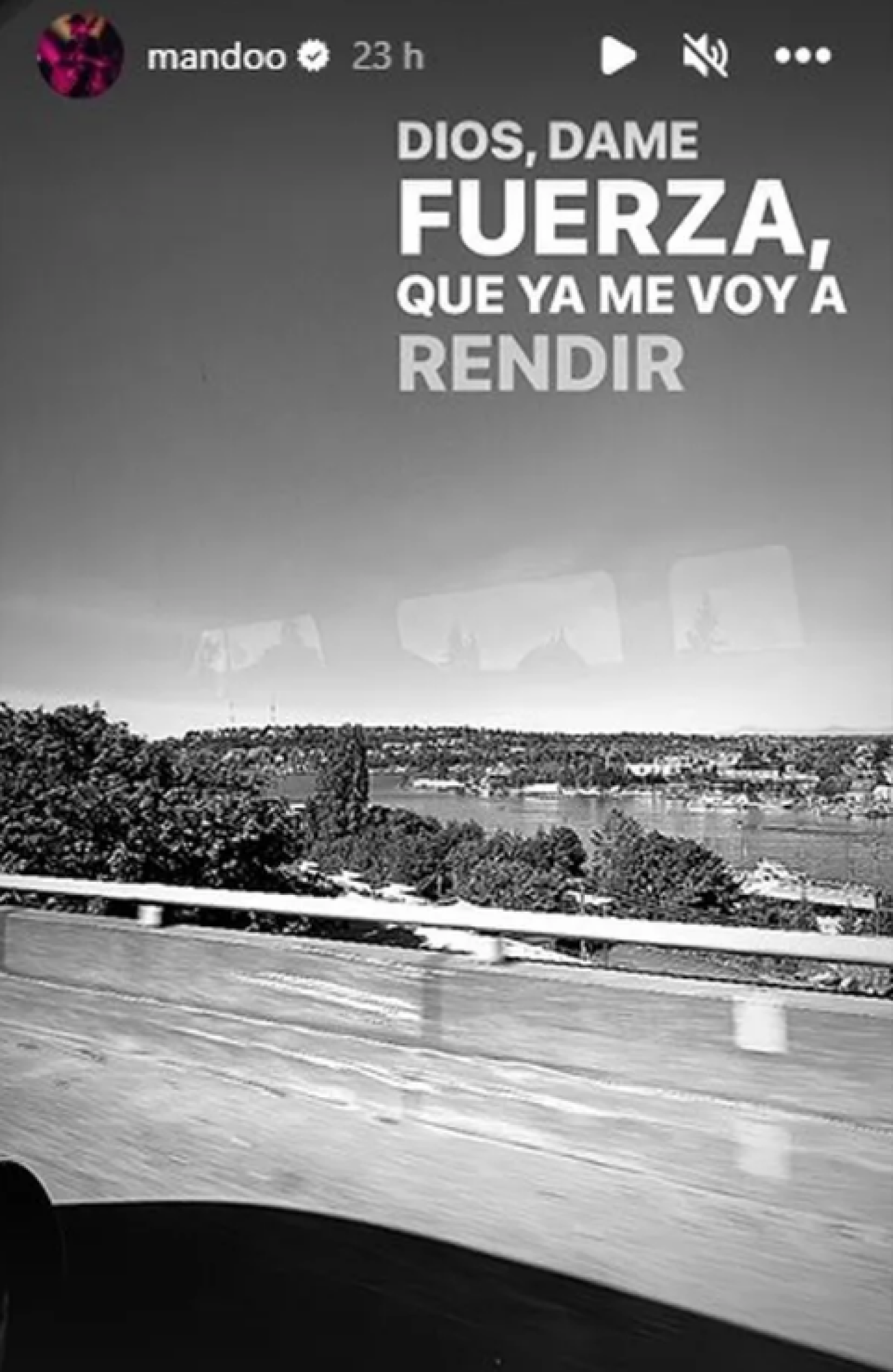 Screen Shot 2023-08-18 at 10.27.30 AM.png