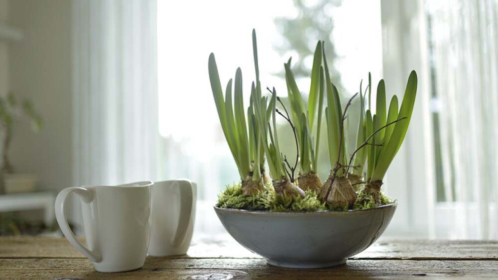 macetas caseras con recipientes vintage