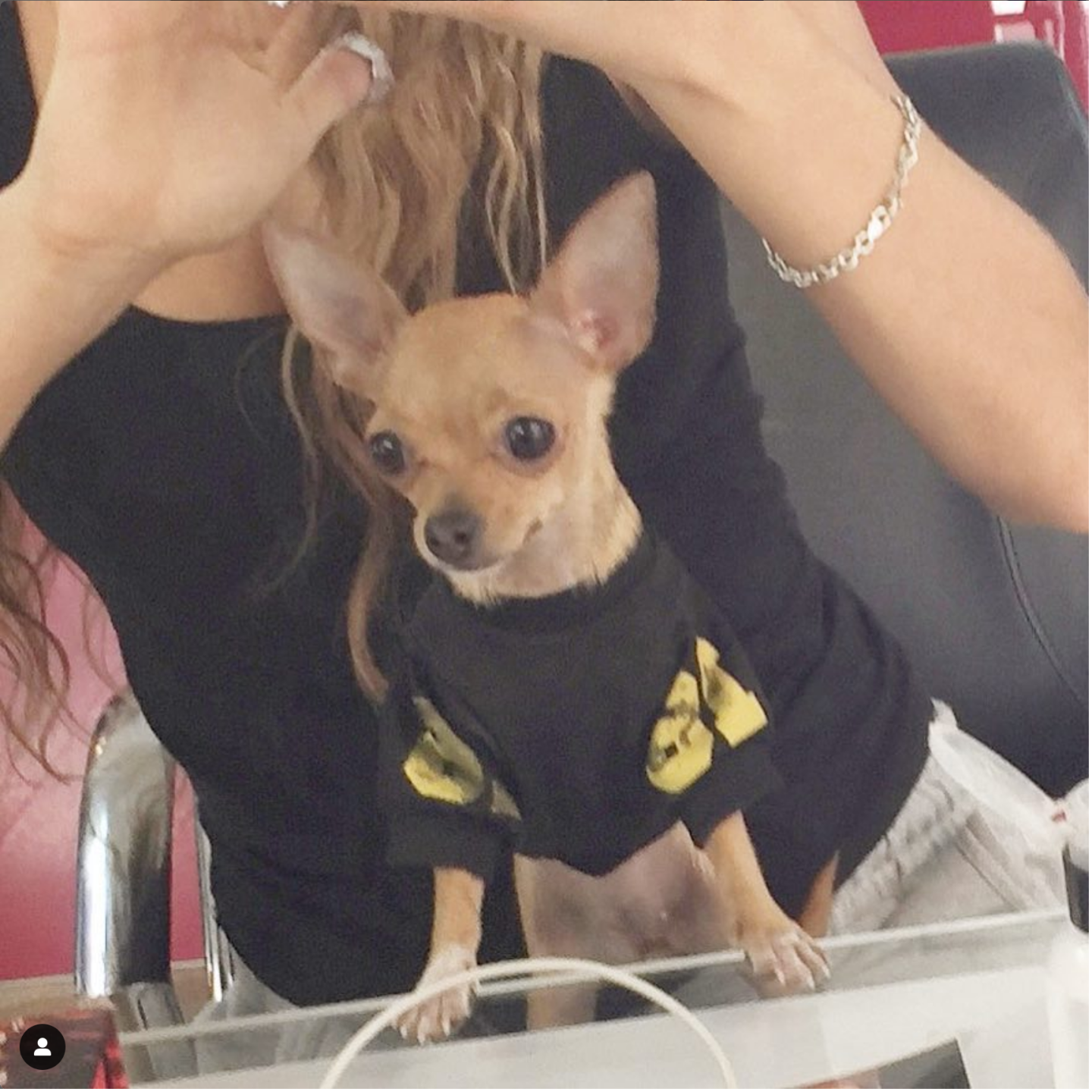 Screenshot 2023-10-09 at 20-46-25 C A N D E L A M A R Q U E Z (@candelamarquezh) • Fotos y videos de Instagram.png