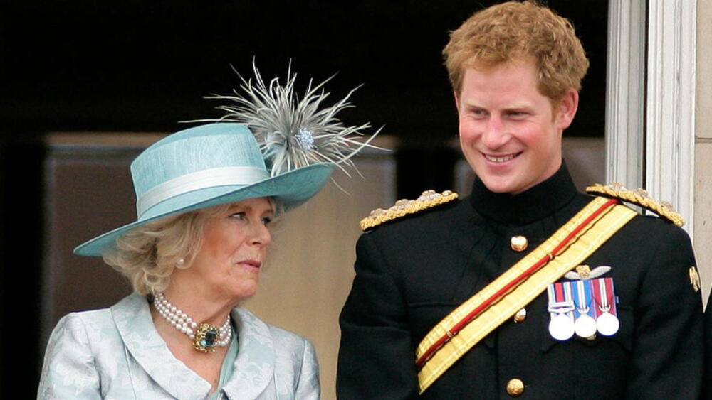 principe-harry-camilla-spare.jpg