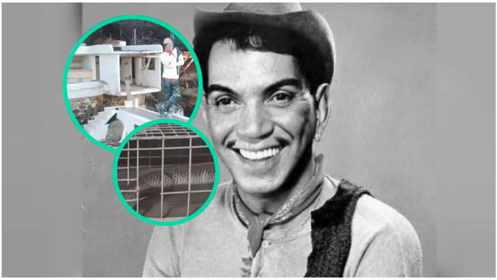 Filtran supuestas FOTOS de las sirenas que Cantinflas tenía en su casa en Acapulco
