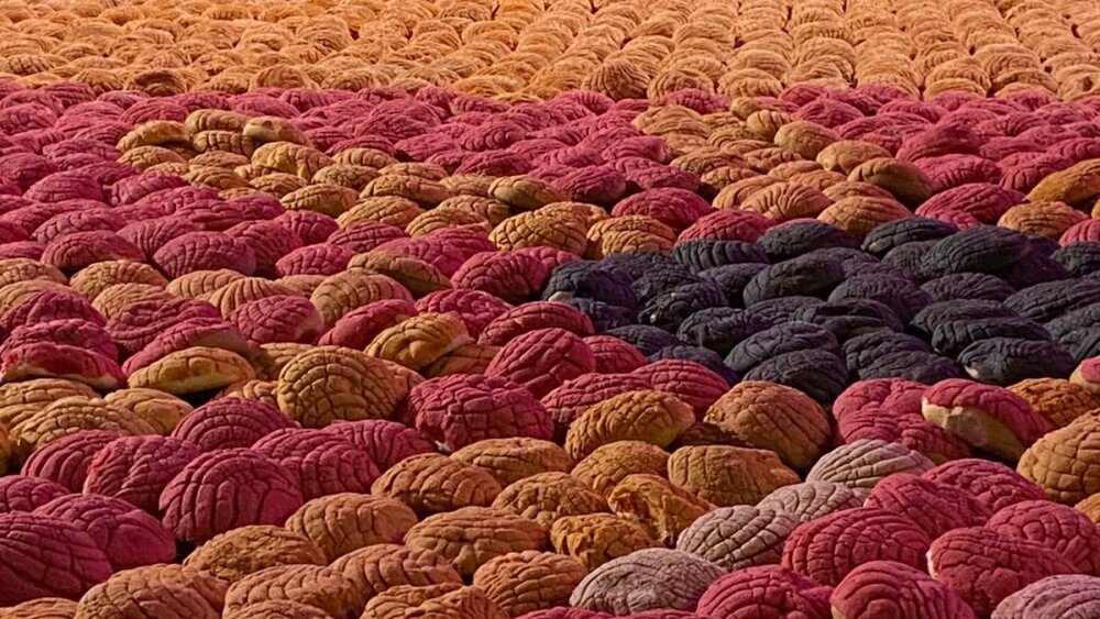 Las conchas con las que formaron la catrina monumental