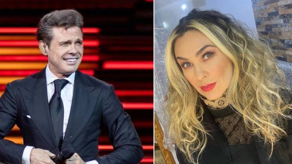Cuánto-le-deposita-Luis-Miguel-a-Aracely-Arámbula-para-sus-hijos.jpg