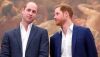 el príncipe William y el príncipe Harry.jpg