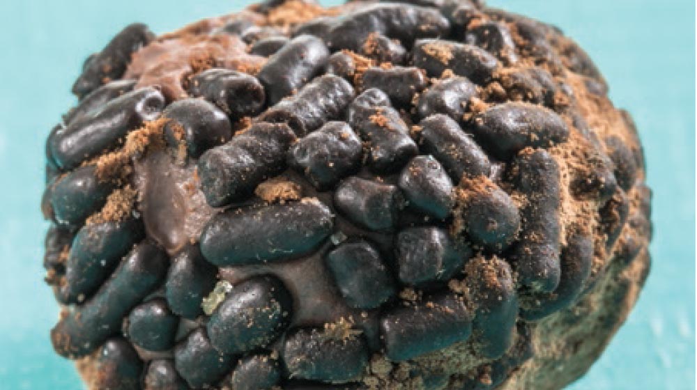 Cómo hacer trufas de chocolate con leche